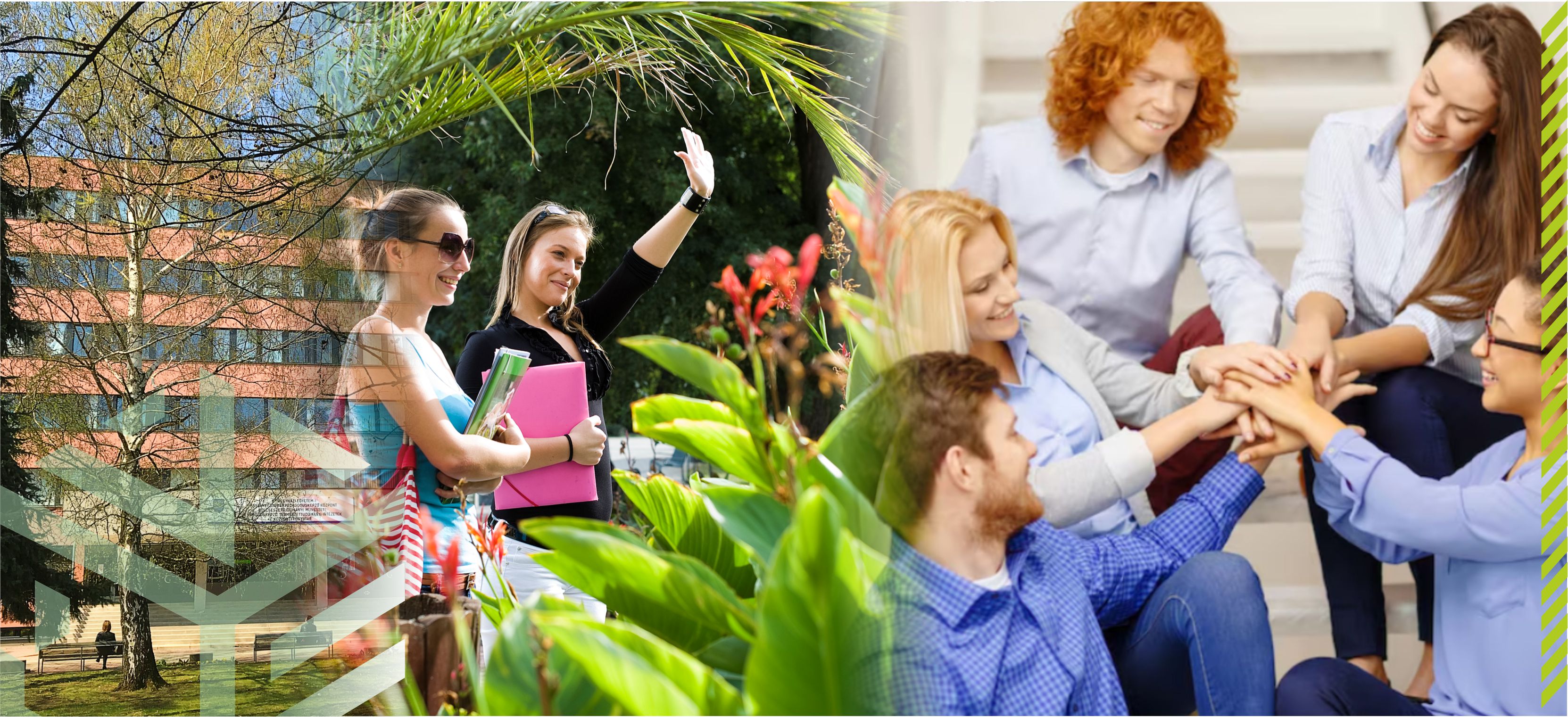 Alkalmazott Humántudományok Intézete